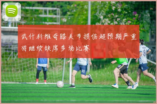 武什科维奇膝关节损伤超预期严重将继续缺席多场比赛